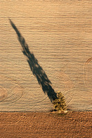 Shadow on Ploughed Field, 2005